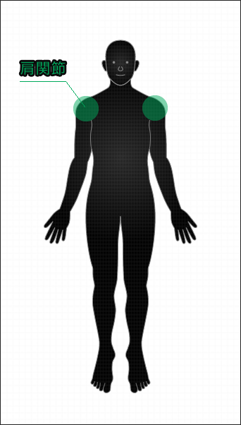 画像：肩関節